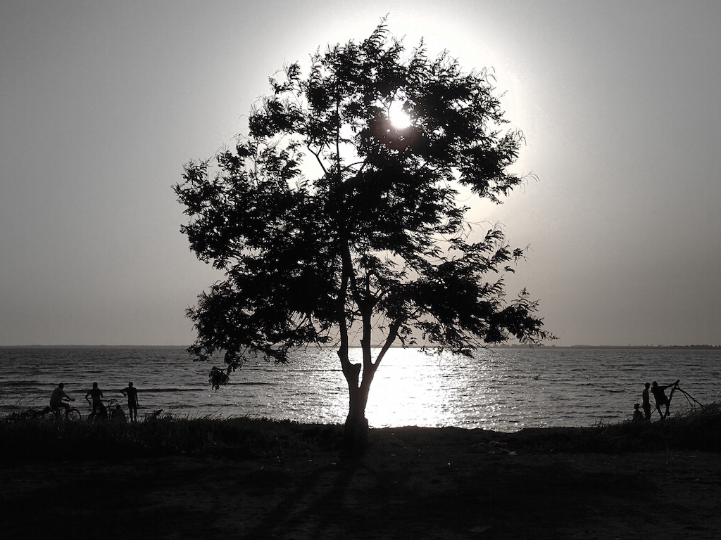 Picture